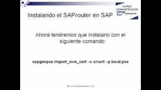 INSTALANDO EL SAPROUTER EN SAP [upl. by Aleras]