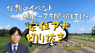 【安住アナ】伝説のイベント 鳩レースを開催しました（安住紳一郎の日曜天国 2016年4月24日） [upl. by Hanna]