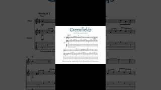 Greenfields Short flute and guitar guitarmusic [upl. by Ianteen364]