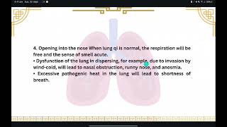 Spleen ampLungs ampkidney Yin organs Lecture 6 [upl. by Dionisio]