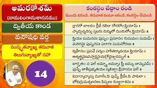 014 Learn Amarakosam అమరకోశం నేర్చుకుందాం ద్వితీయకాండ వనౌషధి వర్గ [upl. by Shir]