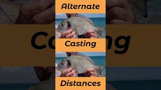 Top Casting Tips For Targeting Gilthead Bream In The UK And Europe seafishinguk [upl. by Ailecnarf]