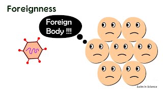 AntigensProperties of AntigensHaptensAdjuvantsProperties of host that contribute immunogenicity [upl. by Gower]