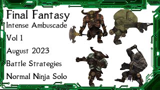 FFXI  Intense Ambuscade Vol 1 August 2023 Battle Strategies and Solo Normal Example [upl. by Ellertnom]