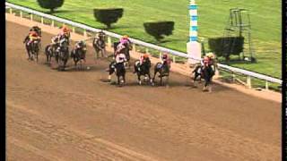 TVG Breeders Cup Moment  Artax [upl. by Enilemme751]