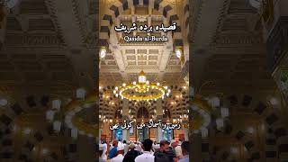 Qaseeda burdha shareefqaseedaburdasharifshortsyoutube status fridaymotivation muhammadﷺ [upl. by Ttevi]