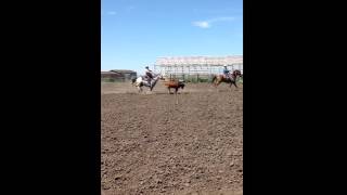 quotBig Willyquot AQHA PC SMOAK DOX heading steer vid4 [upl. by Ztnarf939]