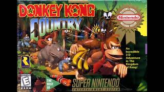 Donkey Kong country ringtone [upl. by Harl]