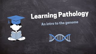 Pathology Introduction Lecture [upl. by Itnahsa272]