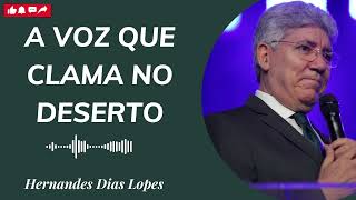 A VOZ QUE CLAMA NO DESERTO Hernandes Dias Lopes 2024 [upl. by Rosmunda]