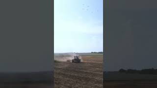 Buhler Versatile 435 and Horsch Tiger 8LT Precision Autumn Efficiency [upl. by Mccall]