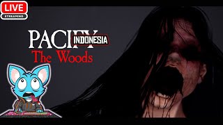 🔴LIVE 4 PACIFY THE WOODS 👻 pacifyINDONESIA [upl. by Shum260]