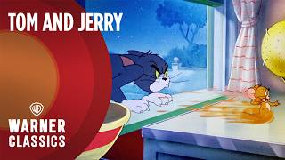 Tom and Jerry  Solid Serenade 1946 Full Episode  Warner Classics [upl. by Ihel]