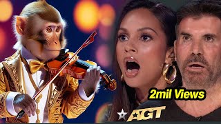 First Monkey to Play an INSTRUMENT on AGT Emotional Audition  Everyone Tears agtmagic viralvideo [upl. by Becket]