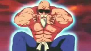 La Onda Glaciar Del Gran Maestro Roshi [upl. by Kelcey256]