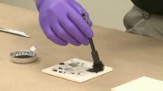 How to Process Latent Fingerprints Using Magnetic Powder [upl. by Marybeth2]