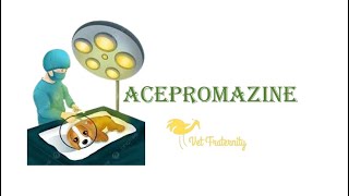 Acepromazine  Phenothiazine  Veterinary Anesthesia Part 7  BCSE subscribe viral trending like [upl. by Repard]