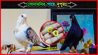 কবুতরের পায়ে রিং পরানোর সঠিক পদ্ধতি 💥 How To Wear A Beautiful Ring On Pigeons Leg ⚡ Jactok [upl. by Ekul288]