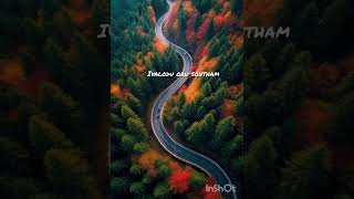 pookkal pookkum tharunam song [upl. by Ariat576]