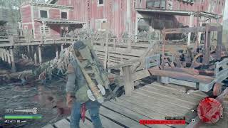 Days Gone  Old Sawmill Horde Preparing To Sleep  PlayStation 4 [upl. by Nnylyoj]