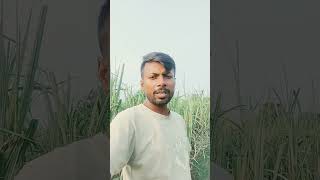 Nache padte sepura chauk par bhojpuri song [upl. by Halimeda]