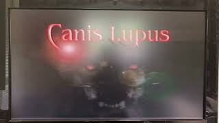 Canis Lupus Entertainment Logo 2000 [upl. by Tersina]