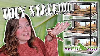 New Snake Enclosures Hognoses and Sand Boa  Reptizoo Stackable Enclosure Review [upl. by Biddle]