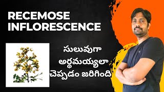 Types of Recemose Inflorescence  అనిశ్చిత పుష్పవిన్యాసం  Zoology 8 Marks Questions [upl. by Ragouzis784]