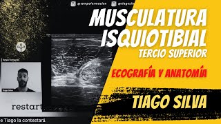 Musculatura isquiotibial tercio superior muslo  Ecografía y patología con Tiago Silva ecografia [upl. by Suiramed575]