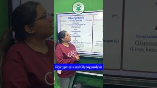 Glycogenesis and glycogenolysis For more details contact on 7814622609 or 8837686765 [upl. by Boothe]