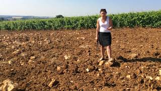 Géologie du climat Les Amoureuses de ChambolleMusigny par Françoise Vannier géologue [upl. by Iru]