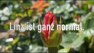 Linz ist ganz normal [upl. by Assirralc166]