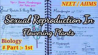 Class 12 Biology Chapter 2  Notes  Stamen Microsporangium And Pollen Grain  CBSE  NEET 🔥💯 [upl. by Spiers]