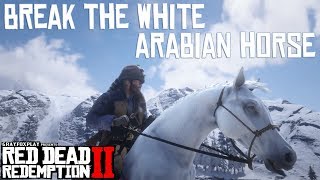 RDR2 White Arabian Horse Location amp How To Break It [upl. by Enawd]