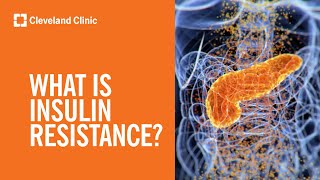 What Is Insulin Resistance [upl. by Airbmak]