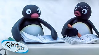 Pingu at School 🐧  Pingu  Official Channel  Cartoons For Kids [upl. by Desirea]