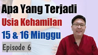 USIA KEHAMILAN 15 DAN 16 MINGGU eps 6  TANYAKAN DOKTER [upl. by Sonnie919]