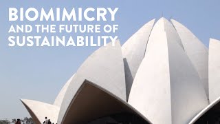 Biomimicry and The Future of Sustainability [upl. by Llemaj]