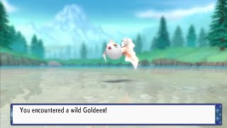 Where to catch Goldeen  Pokemon Brilliant Diamond amp Shining Pearl BDSP Remake [upl. by Gustin]