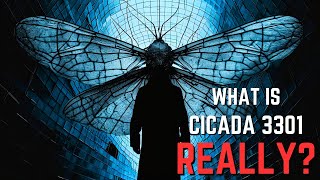 What actually Is The CICADA 3301 MYSTERY [upl. by Htiel]