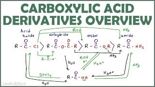 Carboxylic Acid Derivatives Overview and Reaction Map [upl. by Lenhard586]