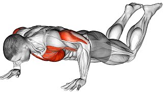 5 Best PushUps Variations For Muscle Strength [upl. by Algie]