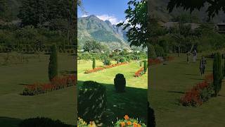 Flower gardens of Kashmir 2023 kashmir short [upl. by Llenoil]