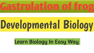 Gastrulation of frog  Developmental Biology zoology biology [upl. by Nnaira680]