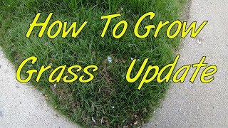 How to grow grass 3 week update [upl. by Jeffry]