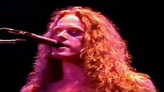 TED NUGENT  Live 1981 France [upl. by Santini]