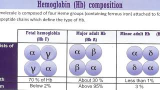 2 Types of hemoglobin انواع الهيموجلوبين [upl. by Emelen639]