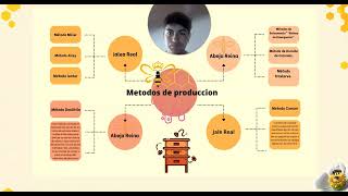 Producción de abejas reinas y jalea real [upl. by Cate292]