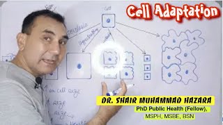 Cell Adaptation  Hyperplasia vs Hypertrophy  Dysplasia vs Metaplasia vs Neoplasia  Atrophy [upl. by Scrogan175]