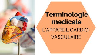 La Terminologie médicale  le système cardiovasculaire [upl. by Annaillil686]